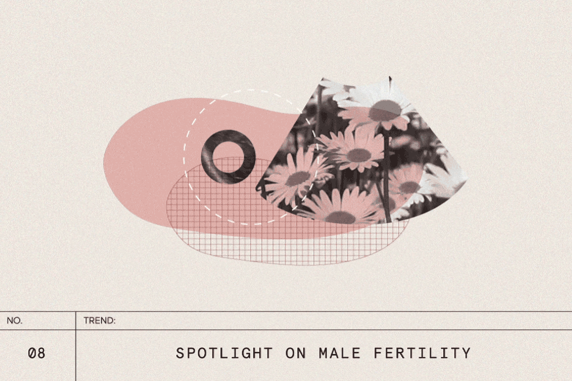 8-Spotlight-on-male-fertility_3sec_Compressed
