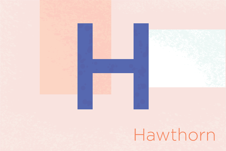 H_Hawthorn